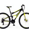 Schwinn Mountain Bike Grey 24 Speed-4