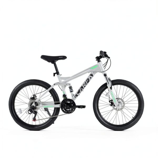 Ecarpat 26 Inch Suspension Mountain Bike Gray Green 21-Speed Dual Disc-7