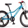Schwinn High Timber Youth Mountain Bike Teal 20-29 Inch Aluminum Frame-1