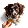 Turkey & Sweet Potato Dog Jerky Farmland Traditions - Grain-Free 1 lb-3