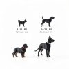 Farmland Traditions Dogs Love Jerky Dog Treats Chicken Beef Turkey 3lb-4